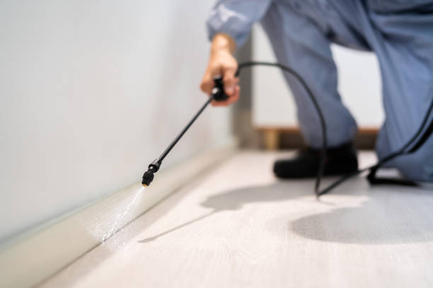 Rodent Entry Point Assessment in East Farmingdale