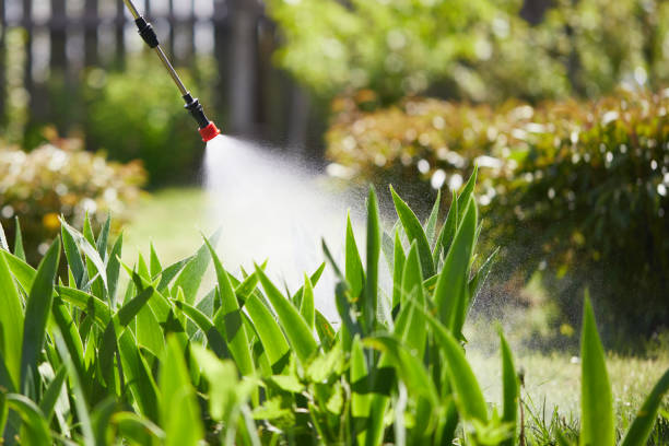 Tamper-Resistant Bait Stations for Rodents in East Farmingdale