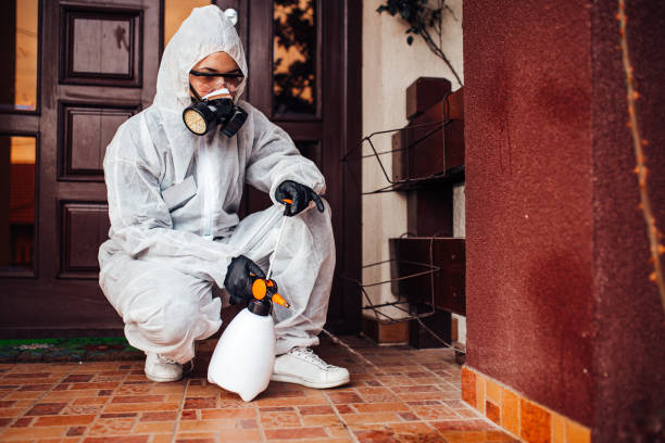 Attic and Crawl Space Rodent Treatment in East Farmingdale